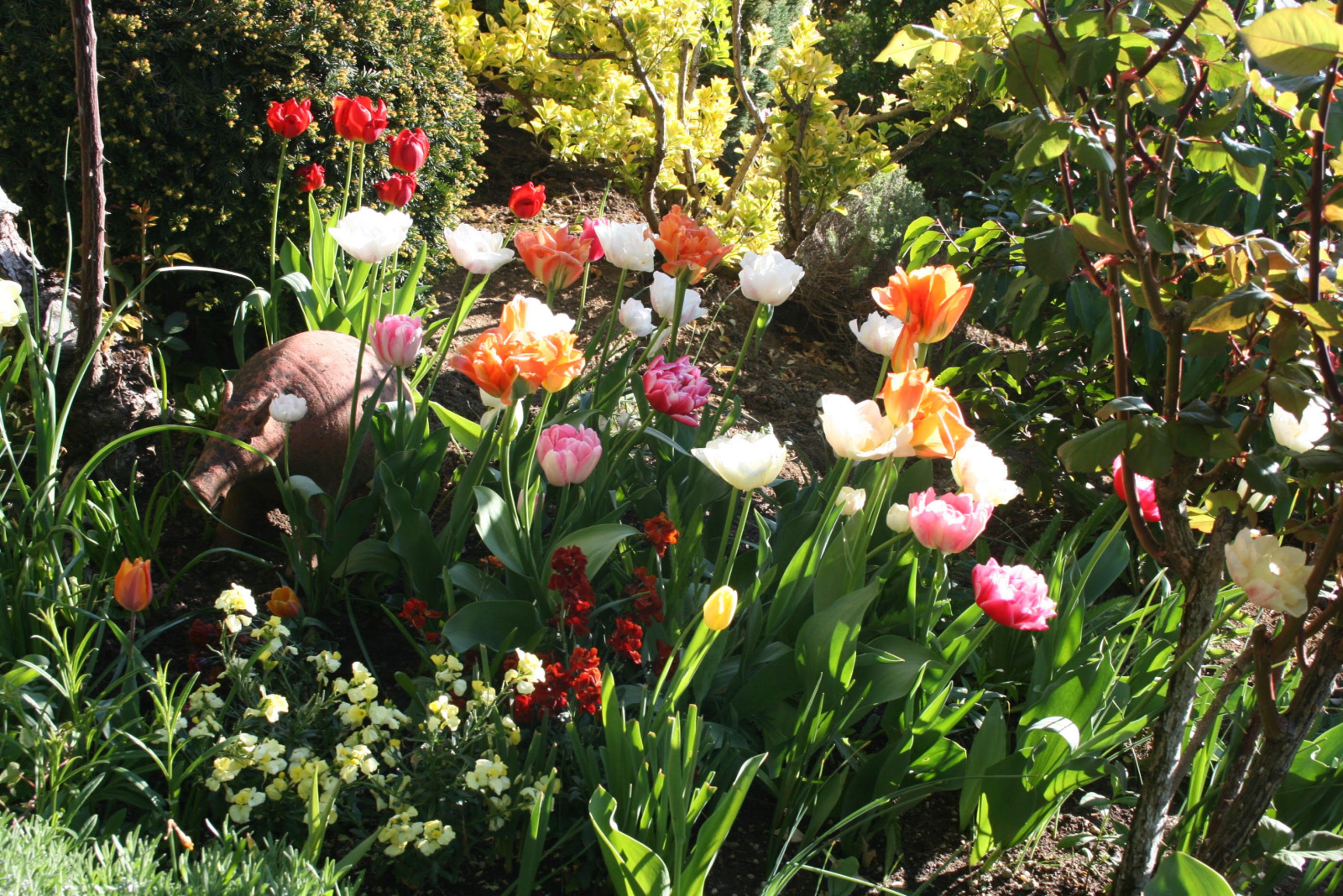 Image_22, Maison, Grilly, ref :1532