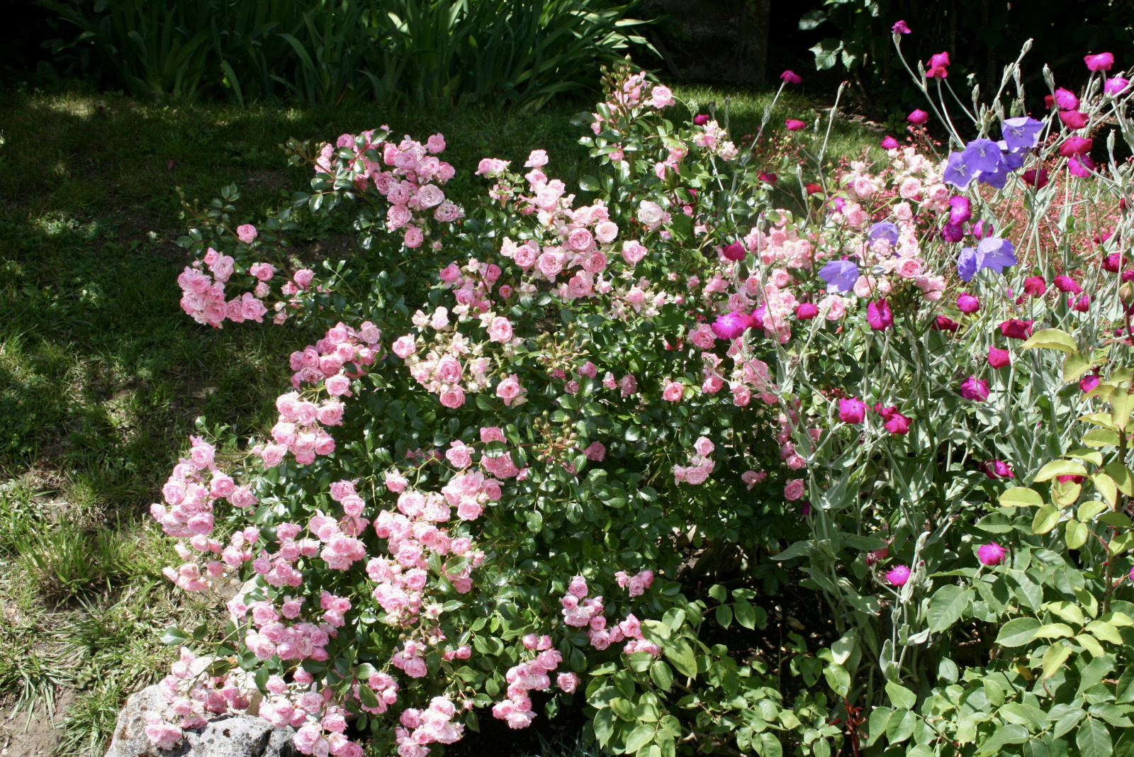 Image_24, Maison, Grilly, ref :1532