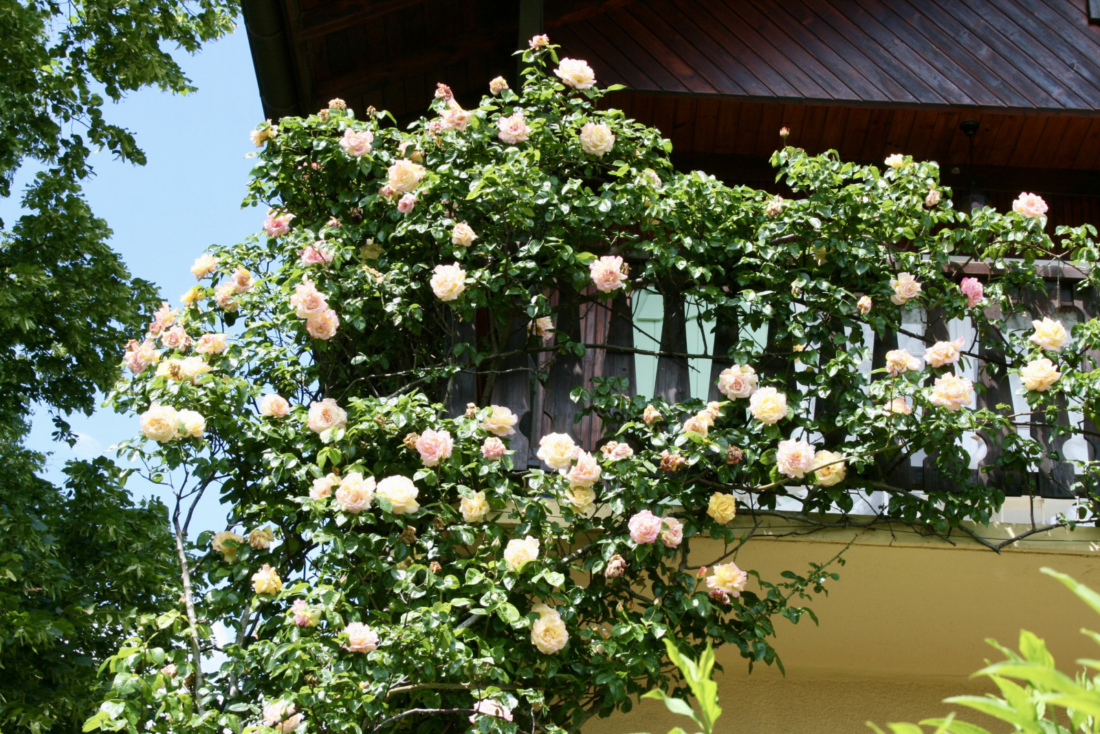 Image_15, Maison, Grilly, ref :1532