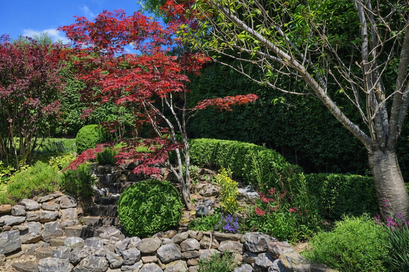 Image_21, Maison, Grilly, ref :1532