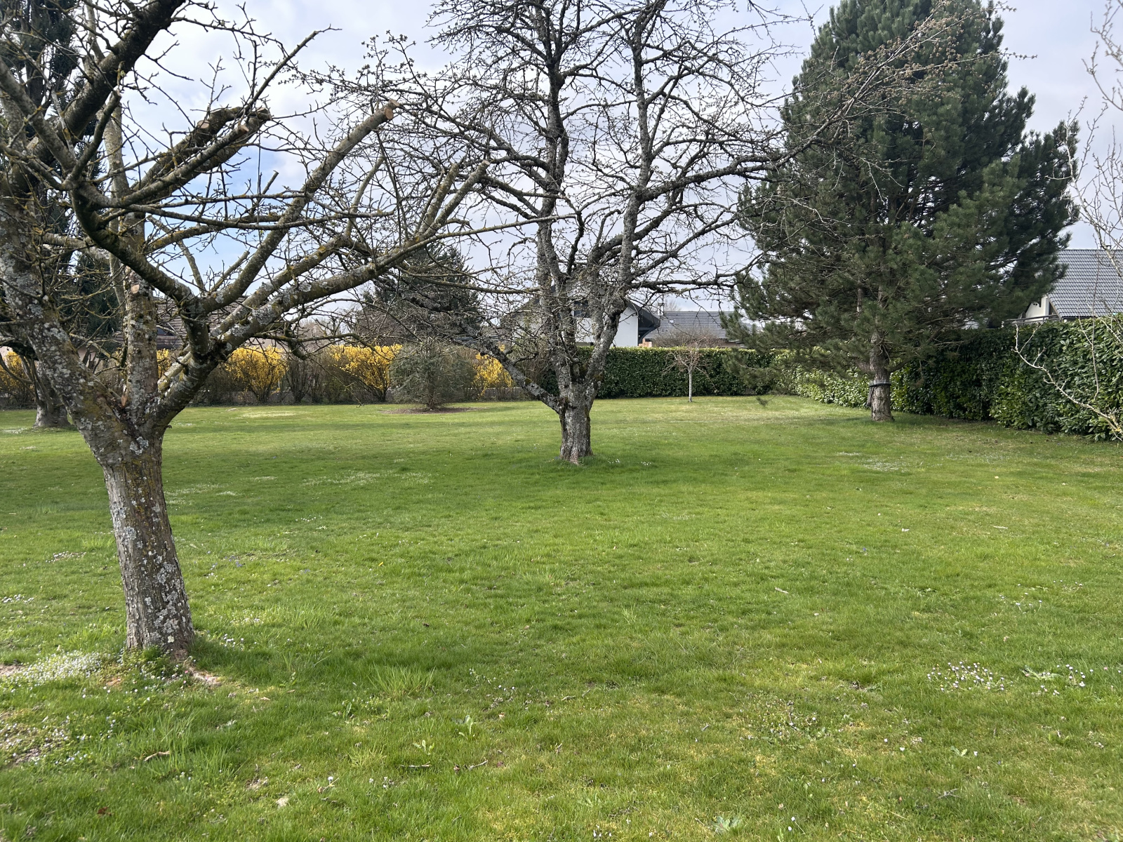 Image_10, Terrain, Divonne-les-Bains, ref :1480