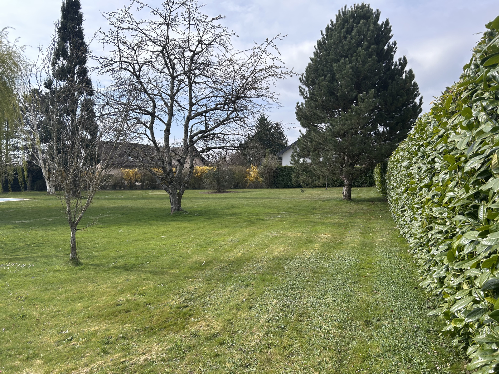 Image_9, Terrain, Divonne-les-Bains, ref :1480