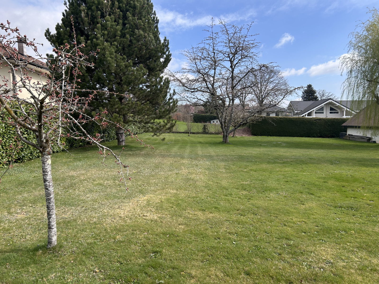 Image_8, Terrain, Divonne-les-Bains, ref :1480