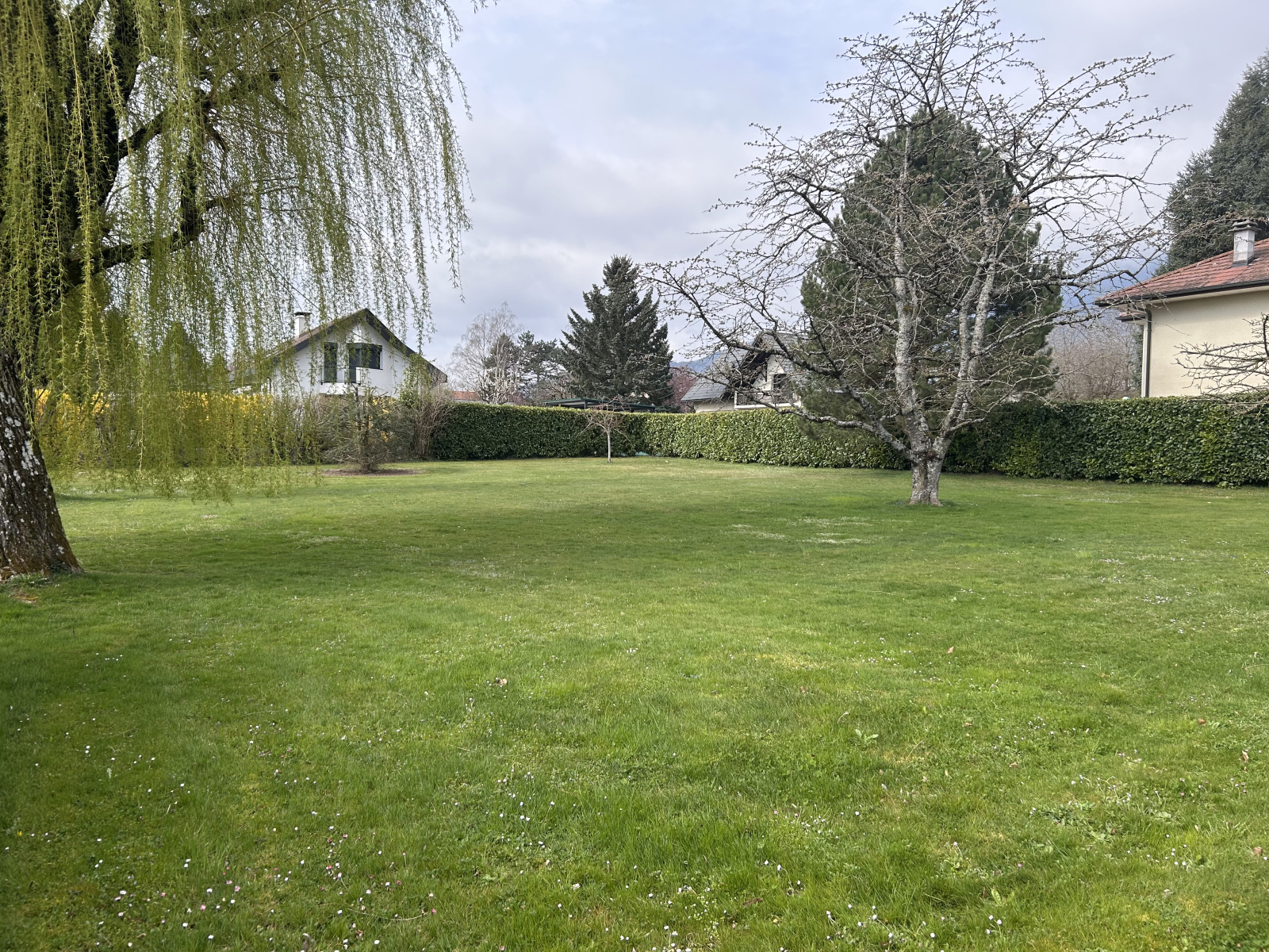 Image_3, Terrain, Divonne-les-Bains, ref :1480