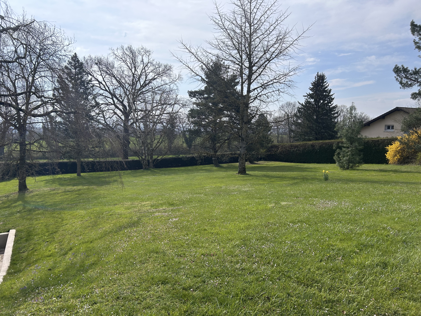 Image_6, Terrain, Divonne-les-Bains, ref :1481