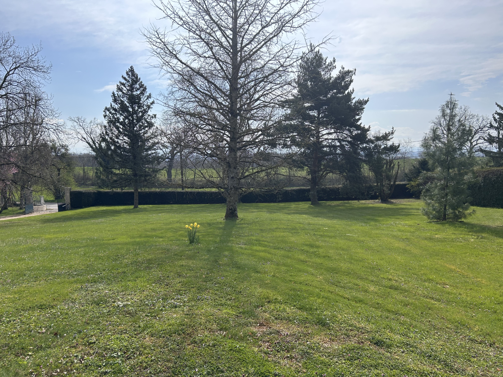 Image_3, Terrain, Divonne-les-Bains, ref :1481