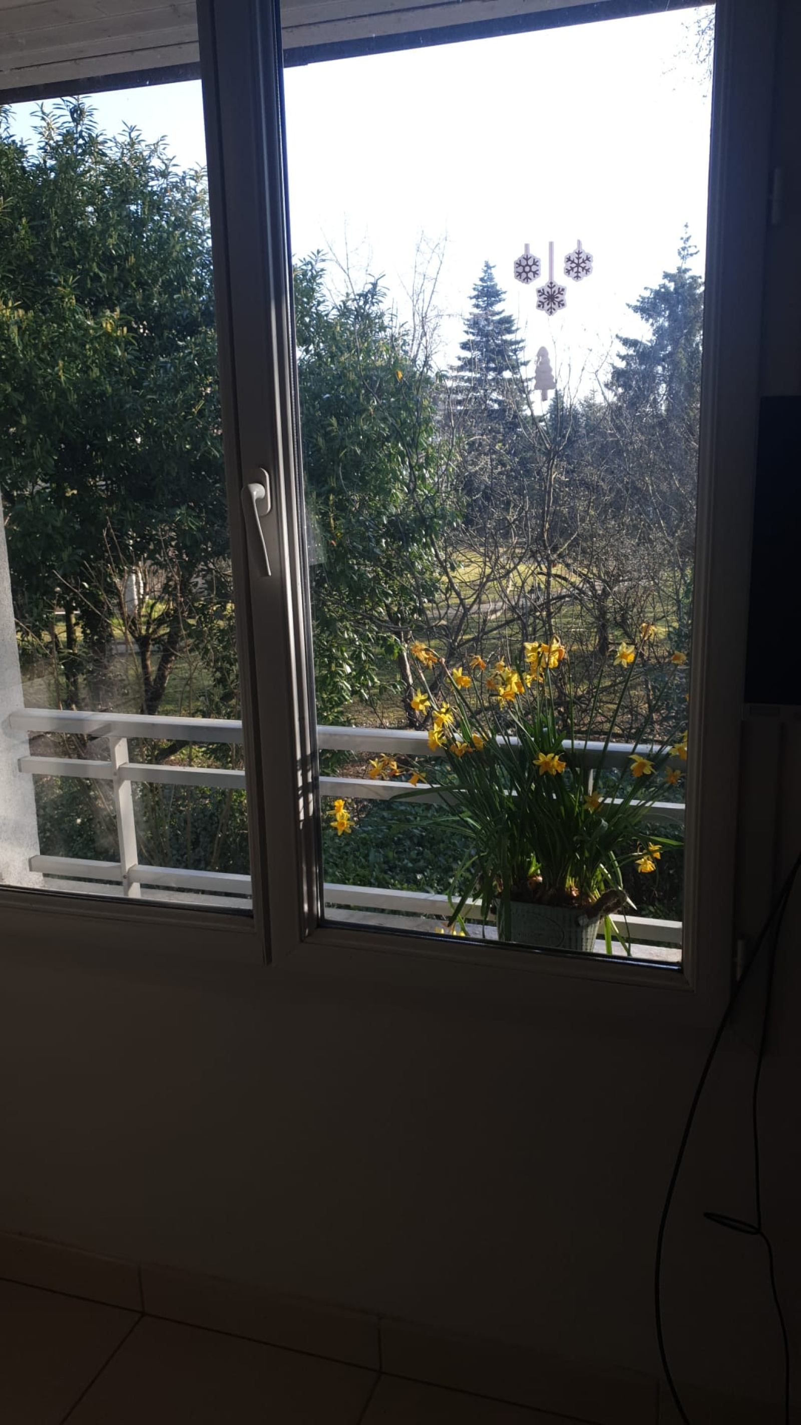 Image_9, Appartement, Divonne-les-Bains, ref :1530