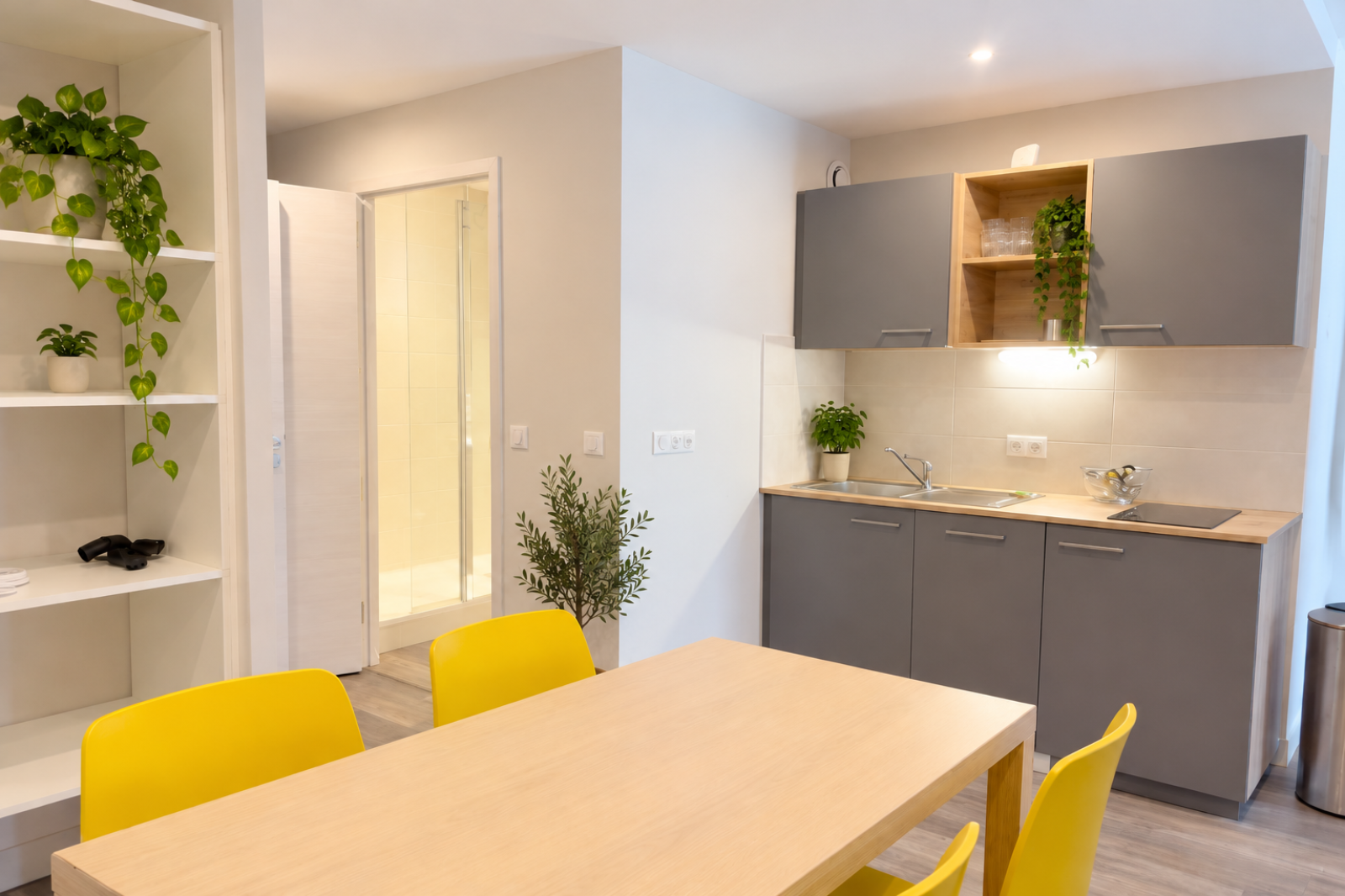 Image_2, Appartement, Divonne-les-Bains, ref :1524bis